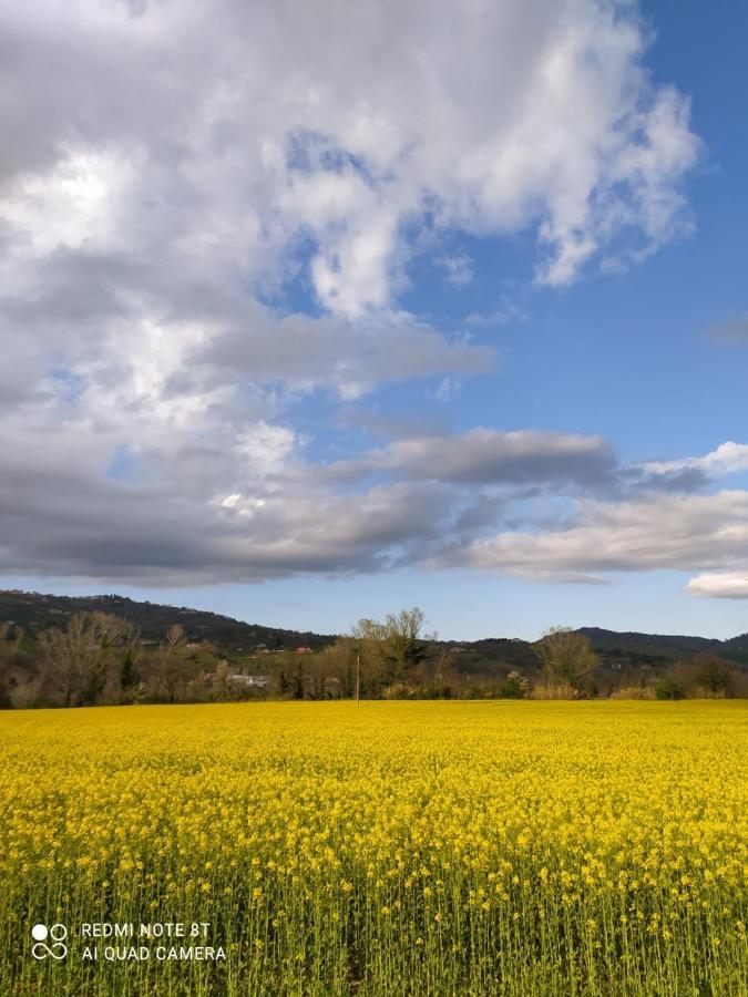 B&B La Casa Di Giuliana Cermignano ภายนอก รูปภาพ