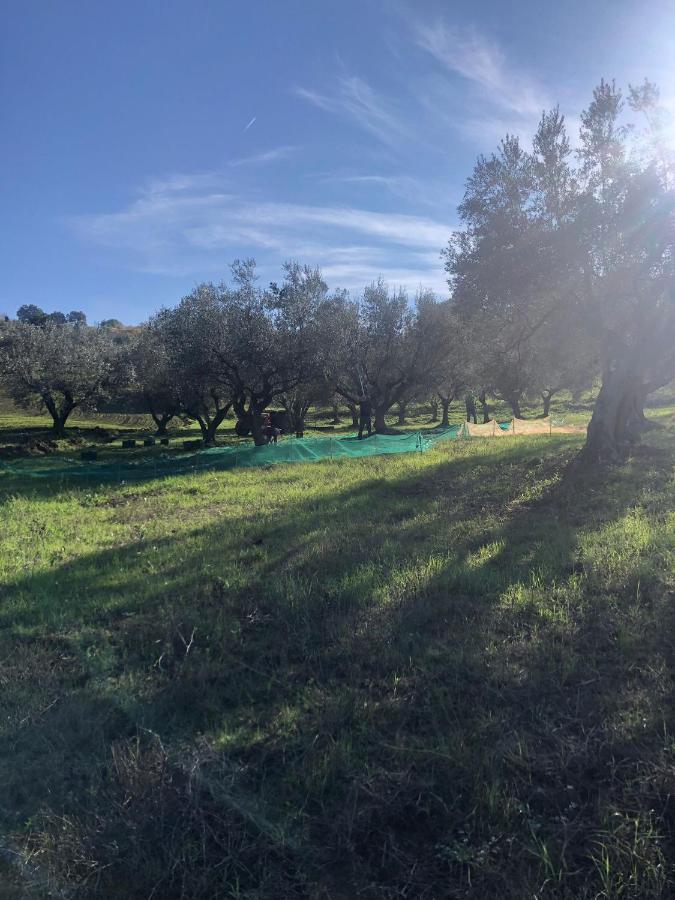 B&B La Casa Di Giuliana Cermignano ภายนอก รูปภาพ