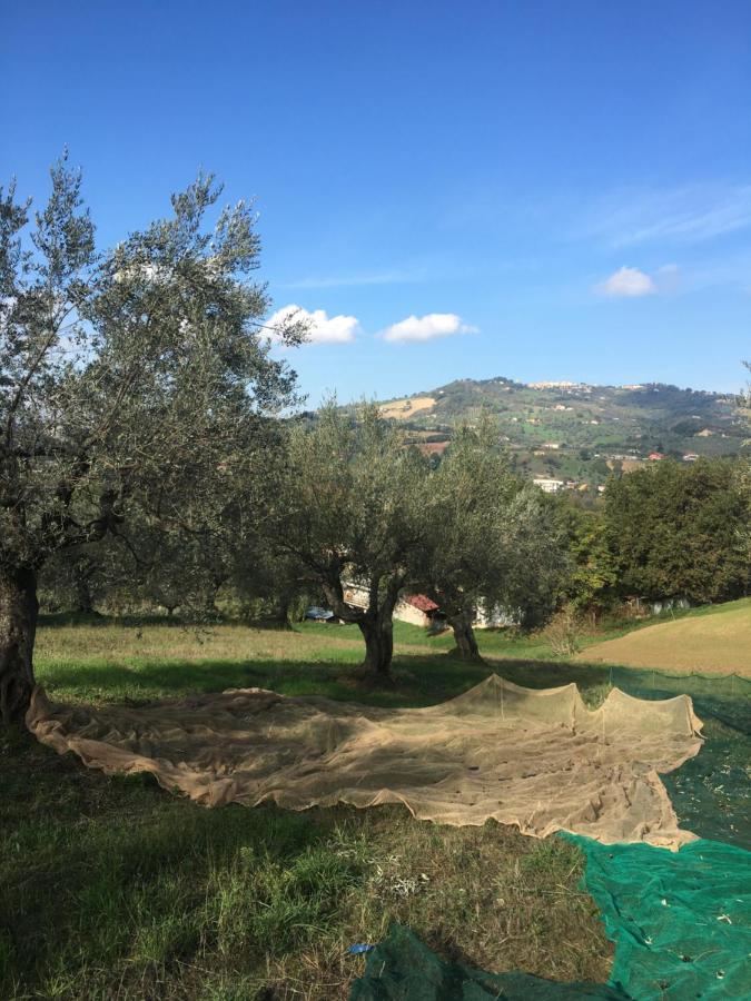 B&B La Casa Di Giuliana Cermignano ภายนอก รูปภาพ