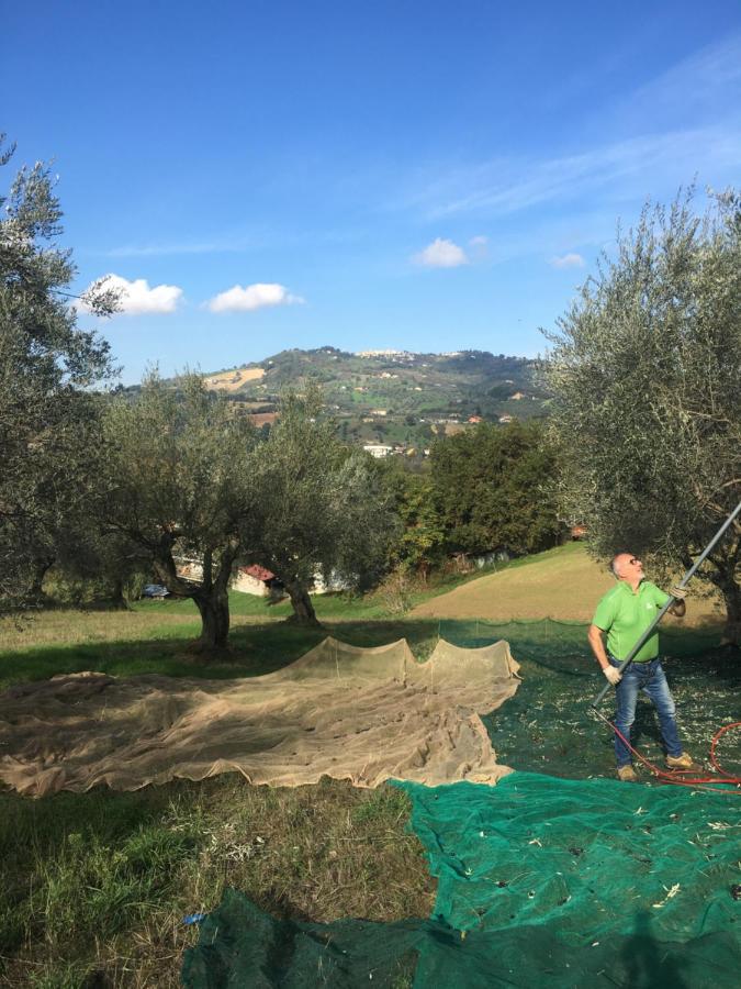 B&B La Casa Di Giuliana Cermignano ภายนอก รูปภาพ