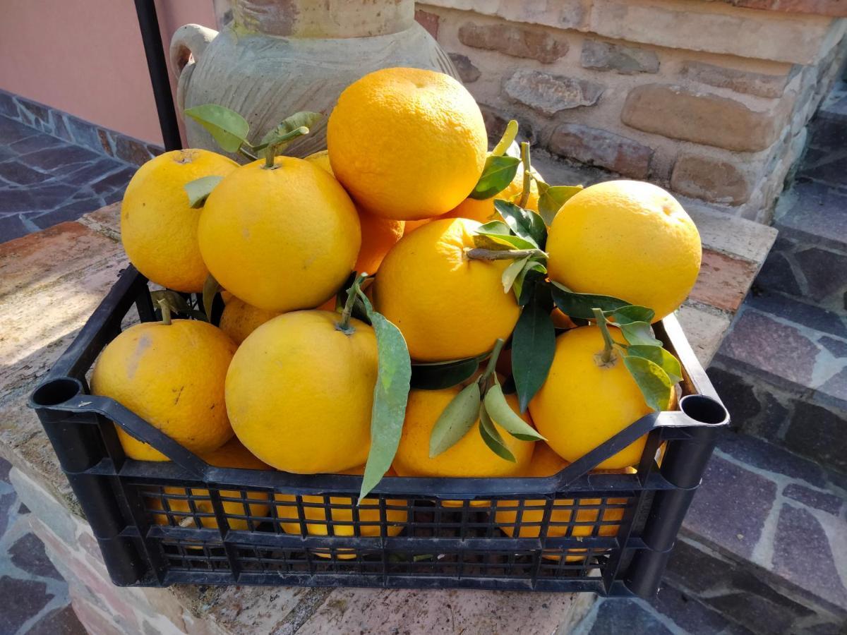 B&B La Casa Di Giuliana Cermignano ภายนอก รูปภาพ