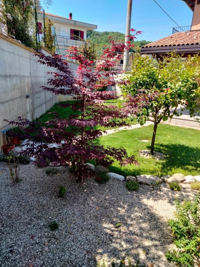 B&B La Casa Di Giuliana Cermignano ภายนอก รูปภาพ