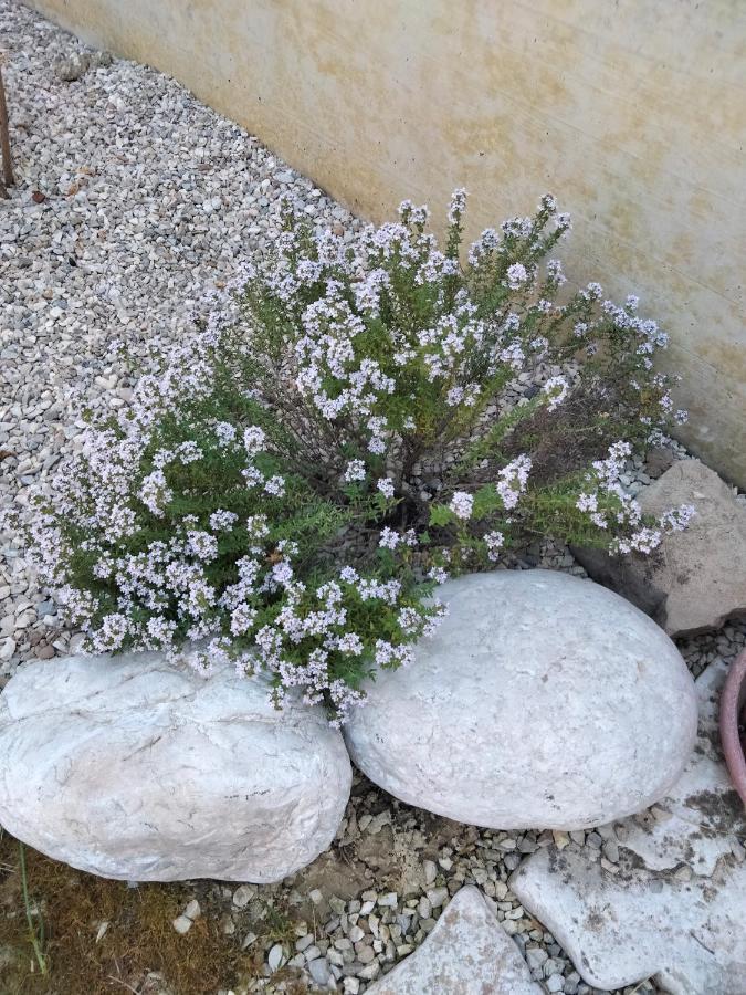 B&B La Casa Di Giuliana Cermignano ภายนอก รูปภาพ