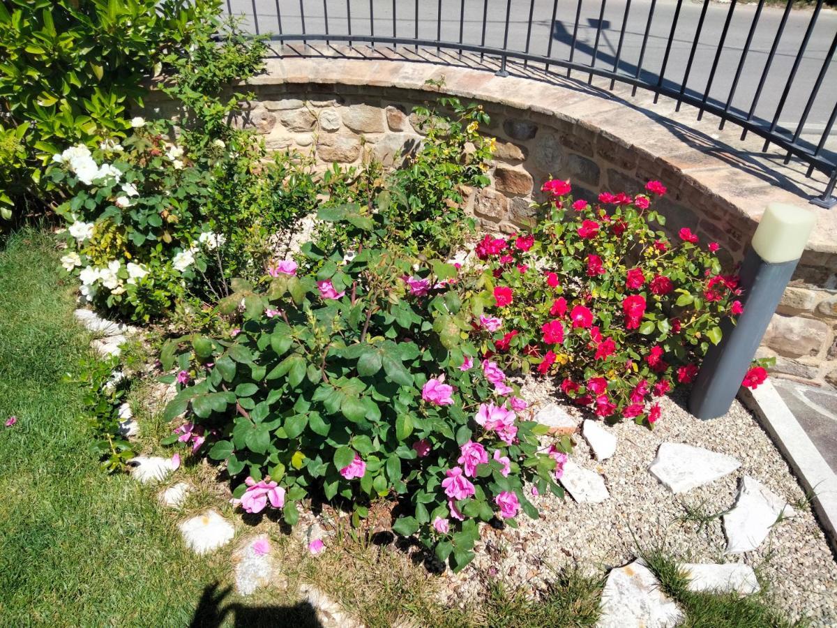 B&B La Casa Di Giuliana Cermignano ภายนอก รูปภาพ