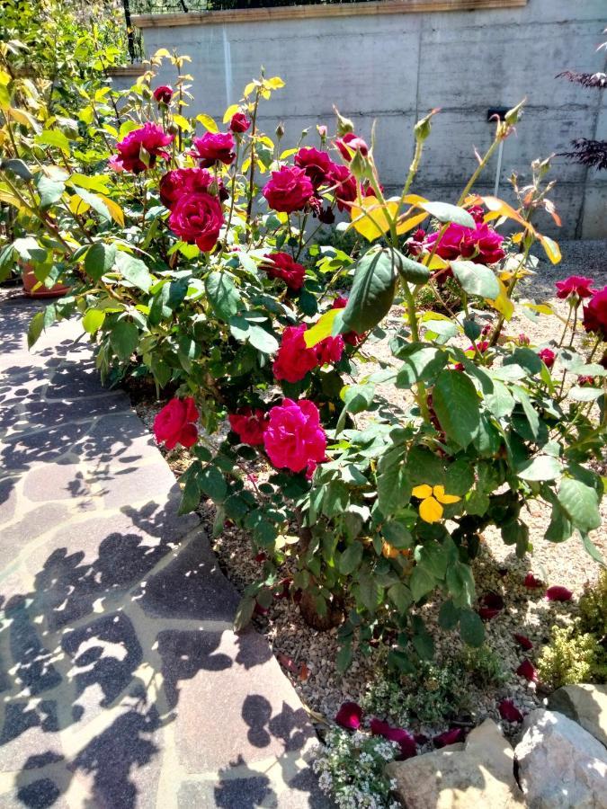 B&B La Casa Di Giuliana Cermignano ภายนอก รูปภาพ