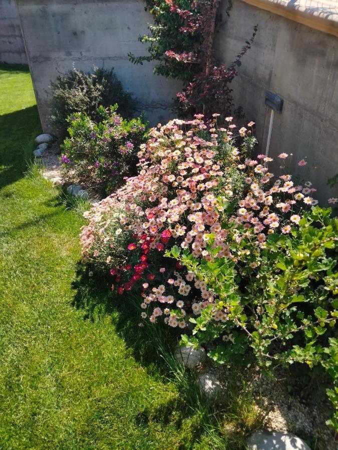 B&B La Casa Di Giuliana Cermignano ภายนอก รูปภาพ